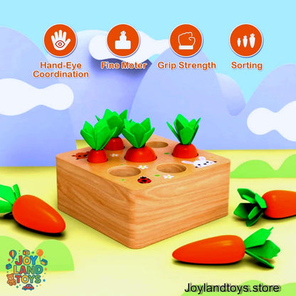 Joy Land Toys – Montessori Wooden Carrot Harvest Toy for Toddlers (Educational Sorting &amp; Matching Game