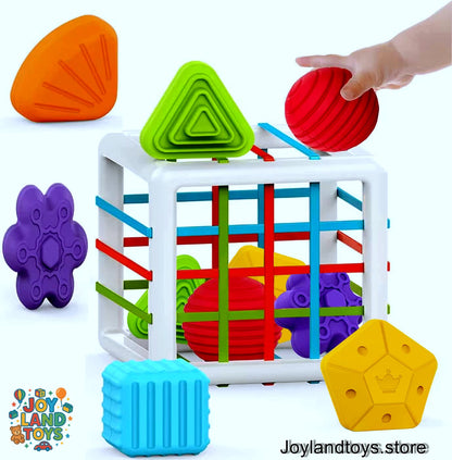Joy Land Toys – Montessori Shape Sorter &amp; Sensory Baby Activity Cube (Educational Toy for 1–2 Year Olds)