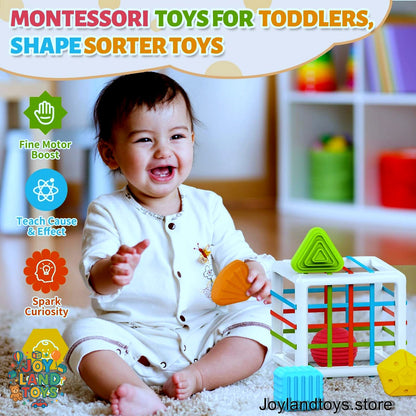 Joy Land Toys – Montessori Shape Sorter &amp; Sensory Baby Activity Cube (Educational Toy for 1–2 Year Olds)